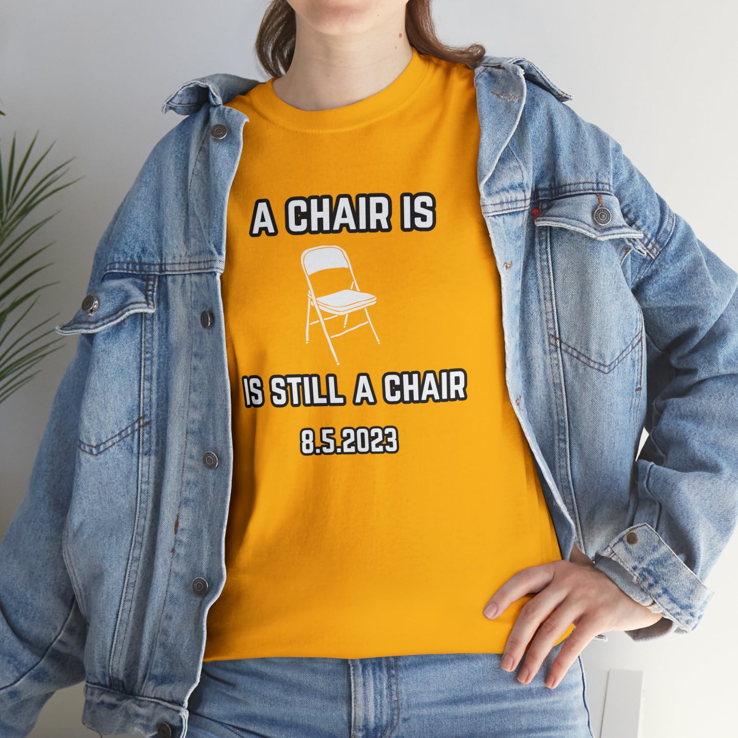 A Chair Is Still A Chair Unisex Heavy Cotton Tee