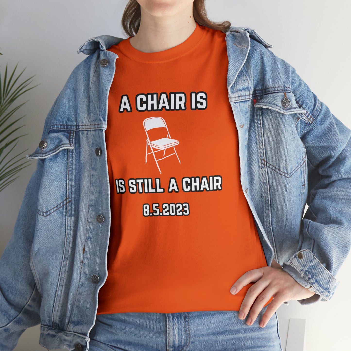 A Chair Is Still A Chair Unisex Heavy Cotton Tee